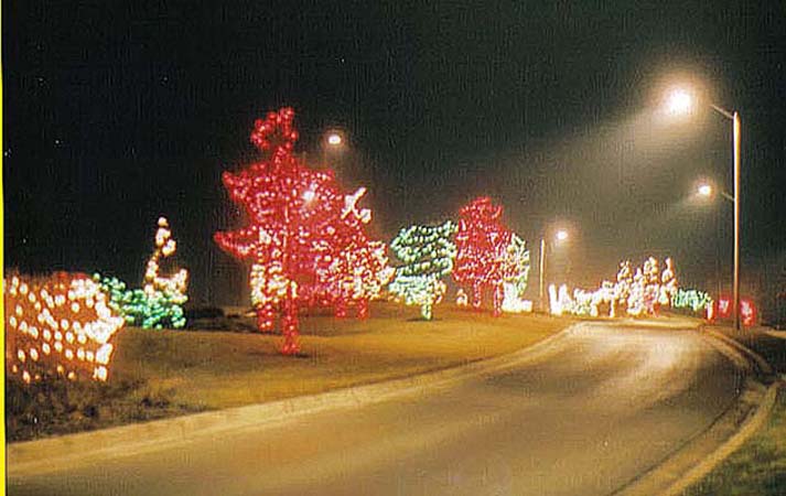 trees