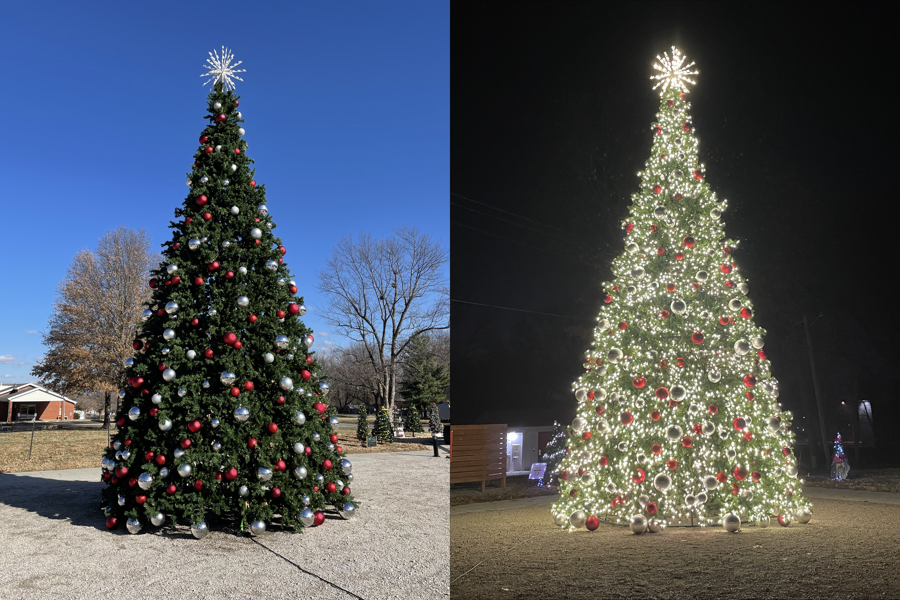 Commercial Christmas Tree Installation